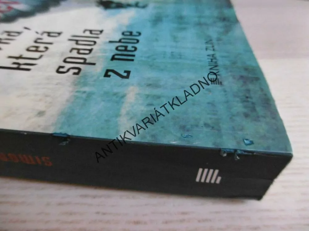 DÍVKA, KTERÁ SPADLA Z NEBE, SIMON MAWER, **an