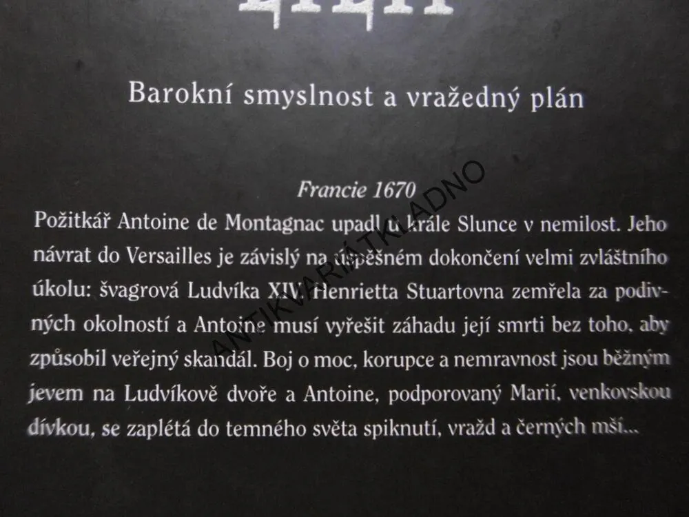 V LABYRINTU LILIÍ, SARGON YOUKHANA, **an