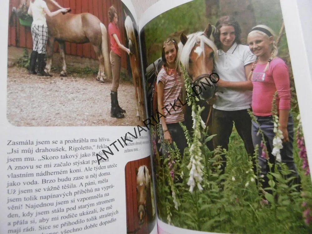 ZTRACENA V DIVOČINĚ, R.E.TORESEN, TAJUPLNÉ PRÁZDNINY 2006, **an