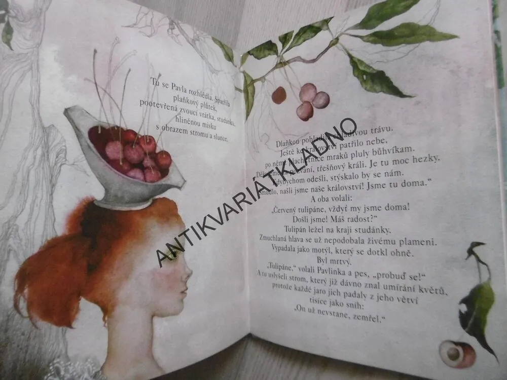 PRINCEZNA Z TŘEŠŇOVÉHO KRÁLOSTVÍ, MARKÉTA ZINNEROVÁ, MARINA RICHTEROVÁ, **an