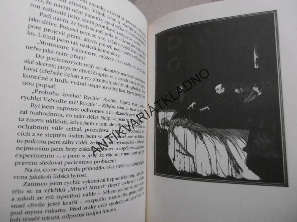 POVÍDKY, EDGAR ALLAN POE, **an