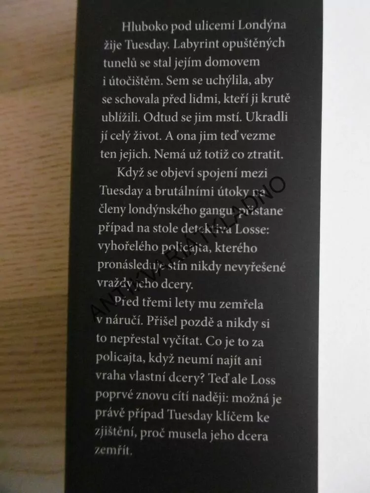 DÍVKA, KTERÁ SI ŘÍKALA TUESDAY, STEPHEN WILLIAMS, **an