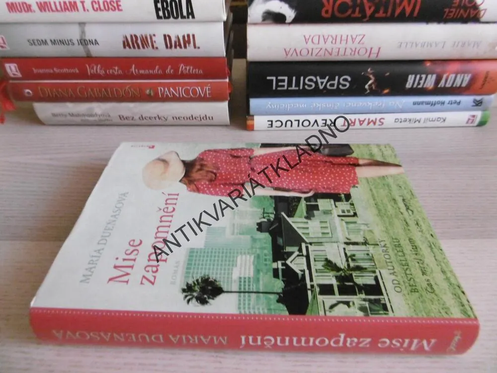 MISE ZAPOMNĚNÍ, MARÍA DUENASOVÁ, **an