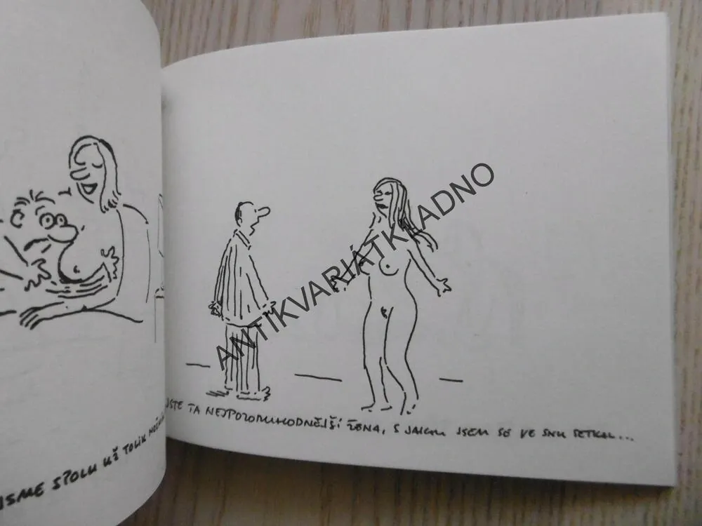 KNÍŽKA PRO SNÍLKY, VLADIMÍR JIRÁNEK, **an