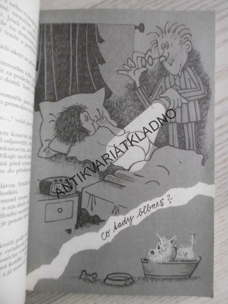 KANTOŘINA - TĚŽKÁ DŘINA, MIROSLAV BUBERLE, **an