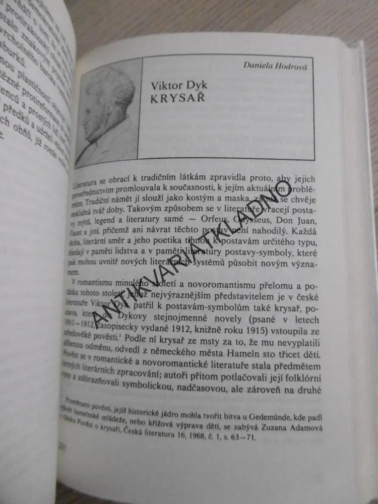 ROZUMĚT LITERATUŘE, INTERPRETACE ZÁKLADNÍCH DĚL ČESKÉ LITERATURY, MILAN ZEMAN A KOLEKTIV