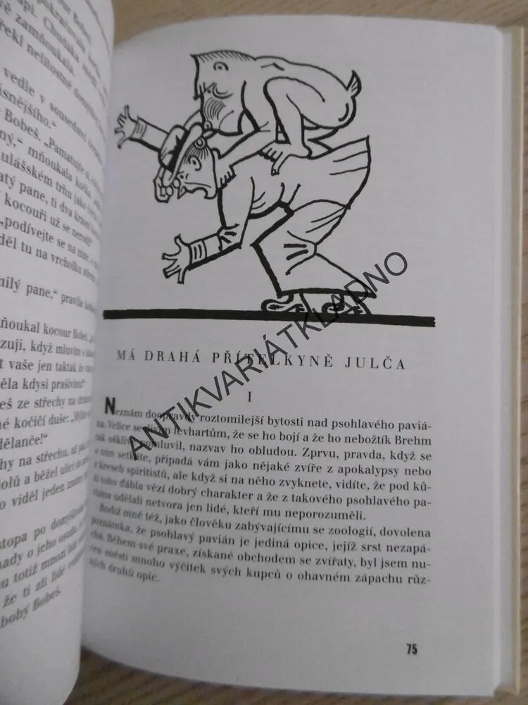 ÚTRAPY VYCHOVATELE, JAROSLAV HAŠEK, **an