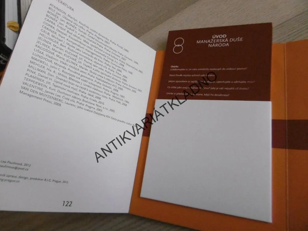 SPOLEČNÝMA OČIMA, LEA PAULÍNOVÁ, **an