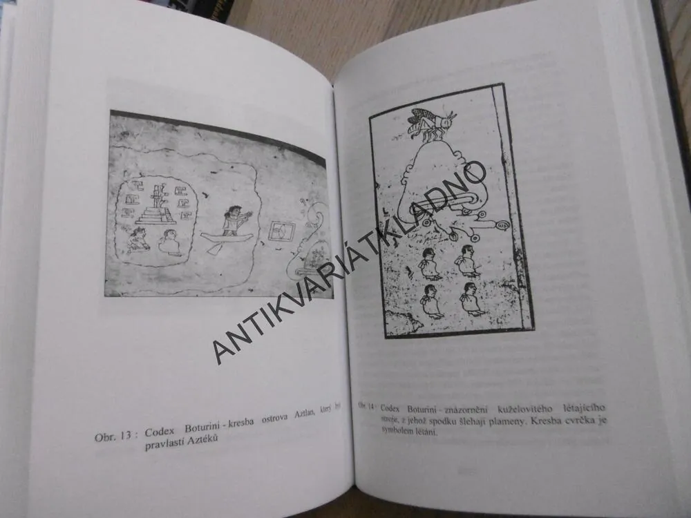 PŘEDPEKLÍ RÁJE, IVO WIESNER, **an