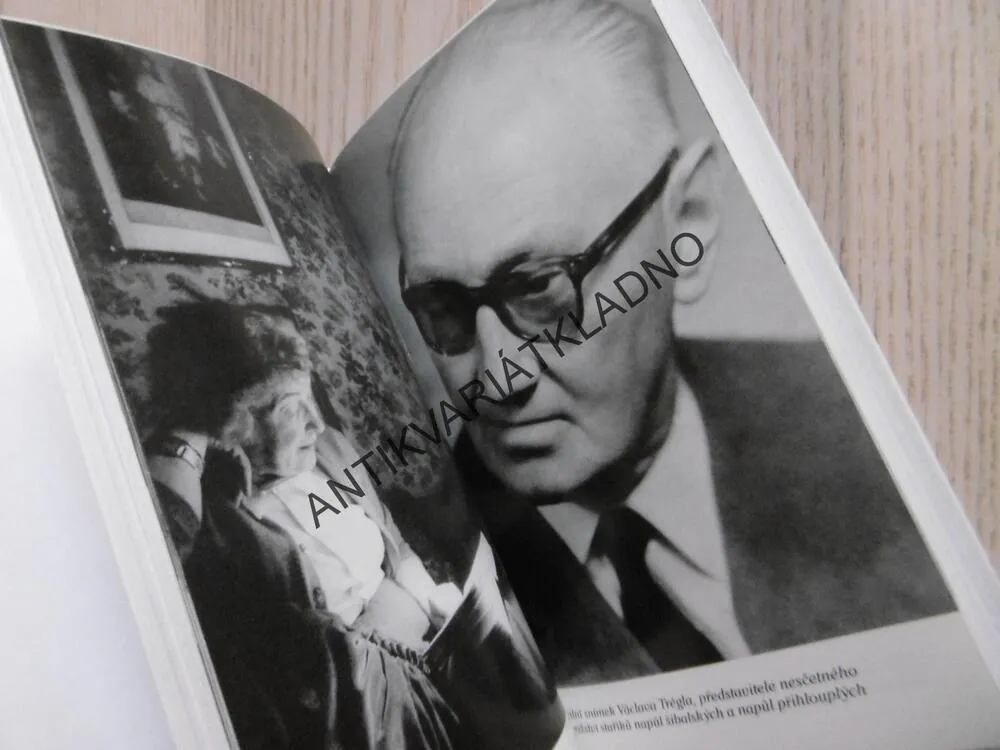 VLADIMÍR MENŠÍK, PŘÁTELSTVÍ, KTERÁ NEUMÍRAJÍ, **an