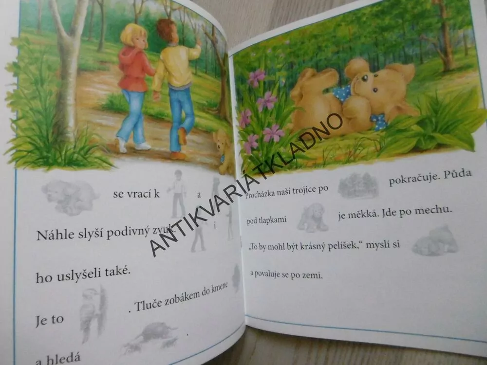 AZOREK V LESE, MALOVANÉ ČTENÍ S BAREVNÝMI NÁLEPKAMI, **an