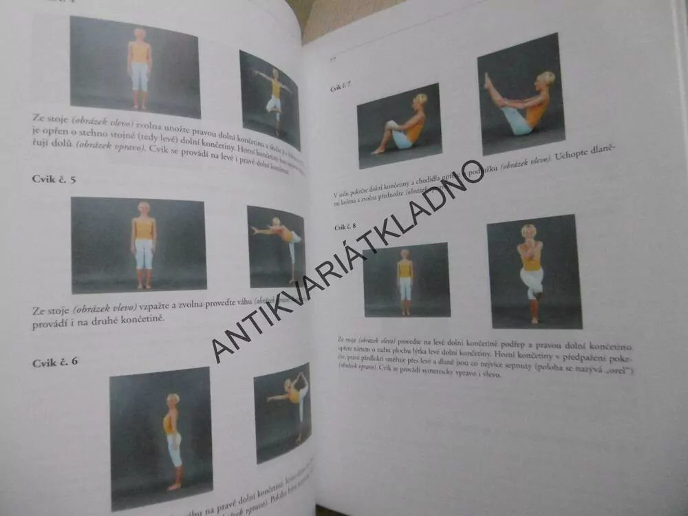PROČ A JAK SE ZDRAVĚ HÝBAT, PAVEL STEJSKAL, **an