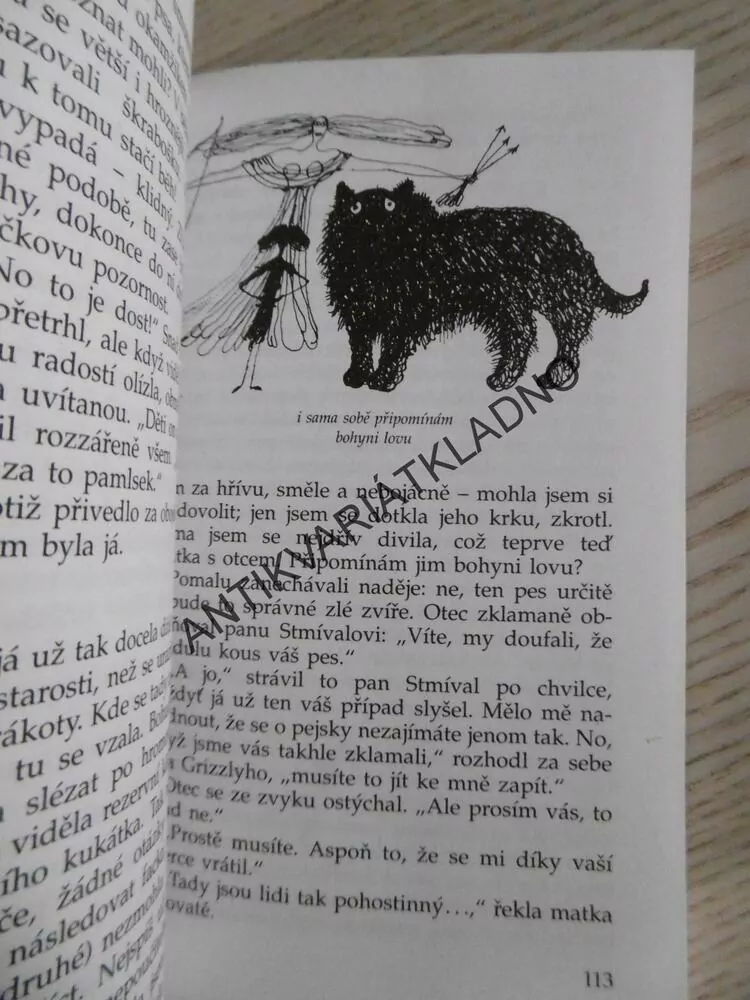 KDYŽ JE PSŮ JAKO PSŮ, JANA ŠTROBLOVÁ, **an