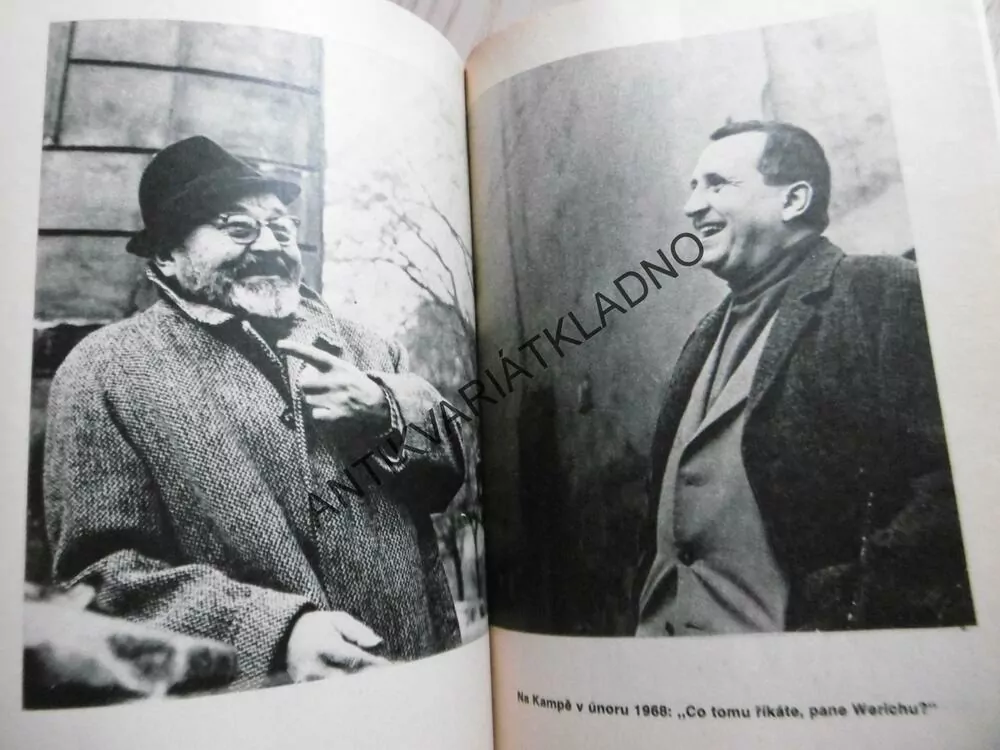 ODSTRAŠUJÍCÍ PŘÍKLAD, VLADIMÍR ŠKUTINA, **an