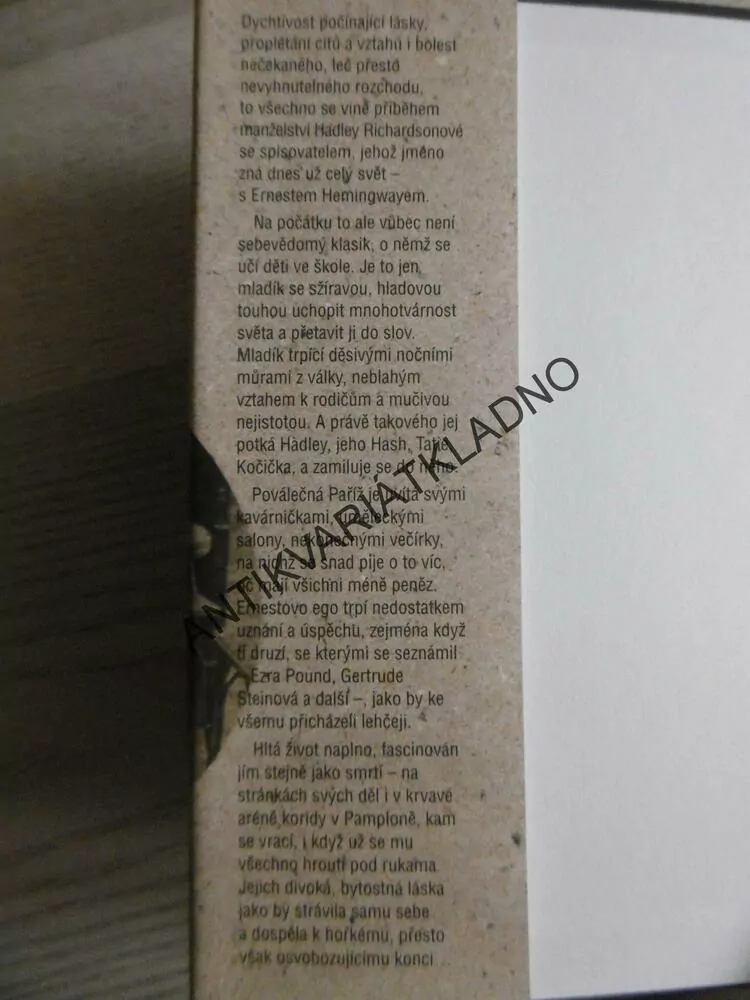 PAŘÍŽSKÁ MANŽELKA, PAULA MCLAINOVÁ, **an