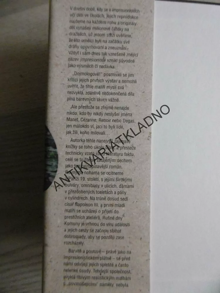 IMPRESIONISTÉ, JEJICH ŽIVOTNÍ PŘÍBĚHY, SUE ROEOVÁ, **an