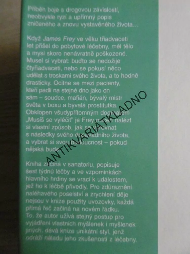 MILION MALÝCH STŘÍPKŮ, JAMES FREY,
