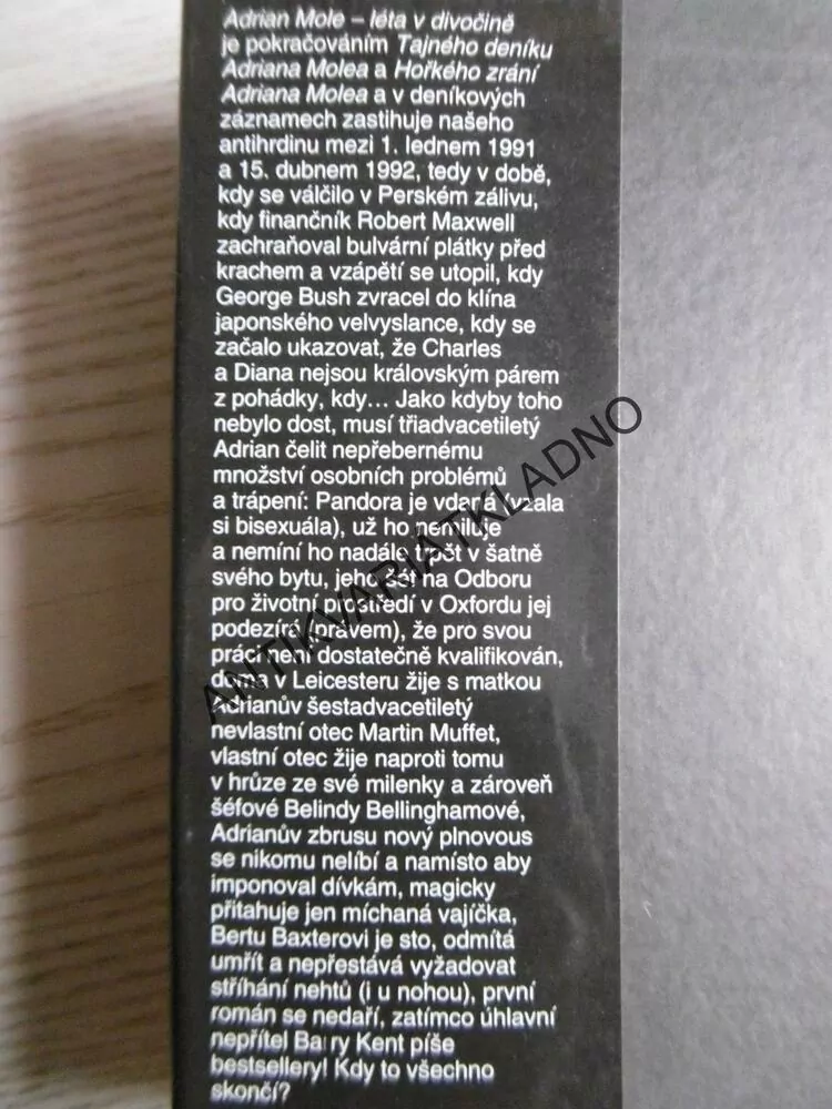 ADRIAN MOLE - LÉTA V DIVOČINĚ, SUE TOWNSENDOVÁ, **an