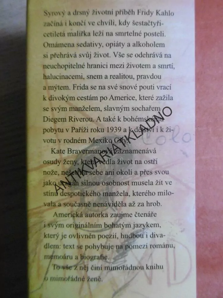 ZAŘÍKÁVÁNÍ FRIDY K., KATE BRAVERMANOVÁ, **an