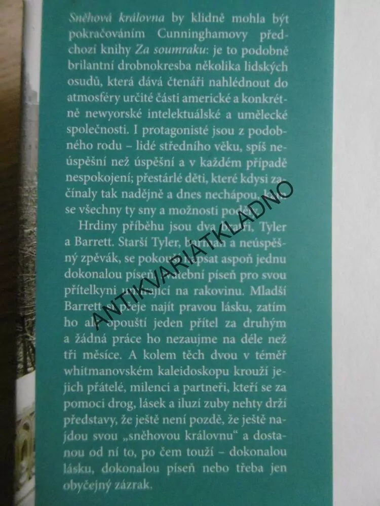 SNĚHOVÁ KRÁLOVNA, MICHAEL CUNNINGHAM, **an
