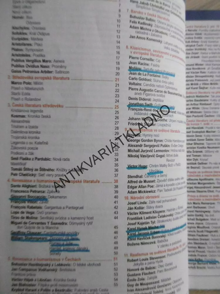 OBSAHY A ROZBORY DĚL K LITERATUŘE
