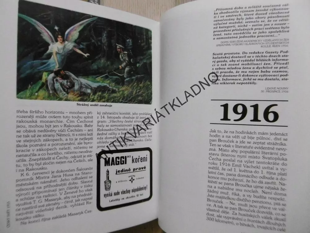 ČESKÝ SVĚT I., 1889 - 1918, JIŘÍ POKORNÝ, **an