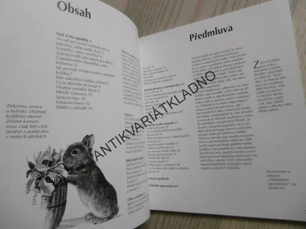 ZAKRSLÝ KRÁLÍK, MONIKA WEGLEROVÁ, **an