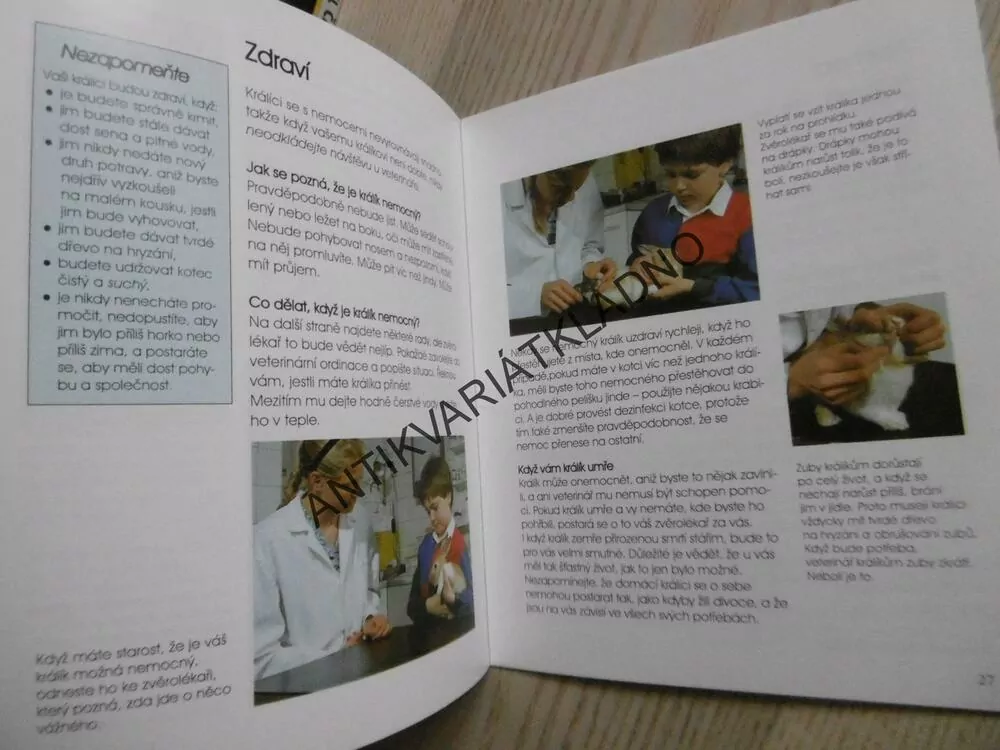 BYDLÍ S NÁMI KRÁLÍK, HELENA PIERSOVÁ, **an