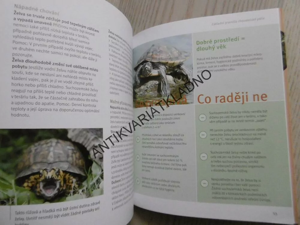 ŽELVY, HARTMUT WILKE, **an