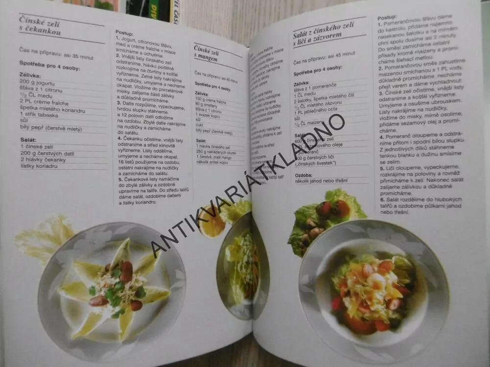 SALÁTY, VÍCE NEŽ 100 RECEPTŮ, PETER NIKOLAY, **an