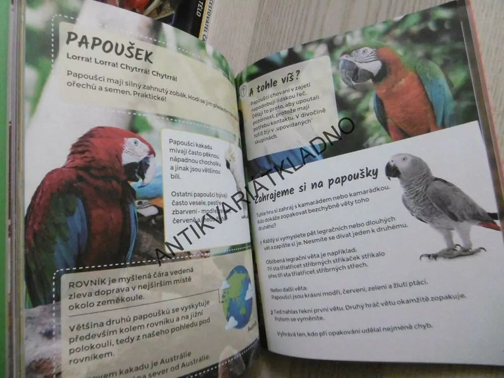 DIVOKÁ ZVÍŘATA, **an