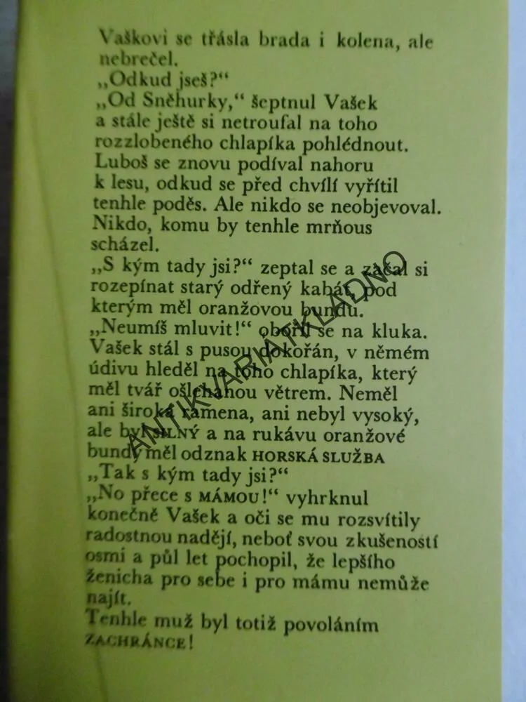 JAK VYTRHNOUT VELRYBĚ STOLIČKU, MARIE POLEDŇÁKOVÁ, **an