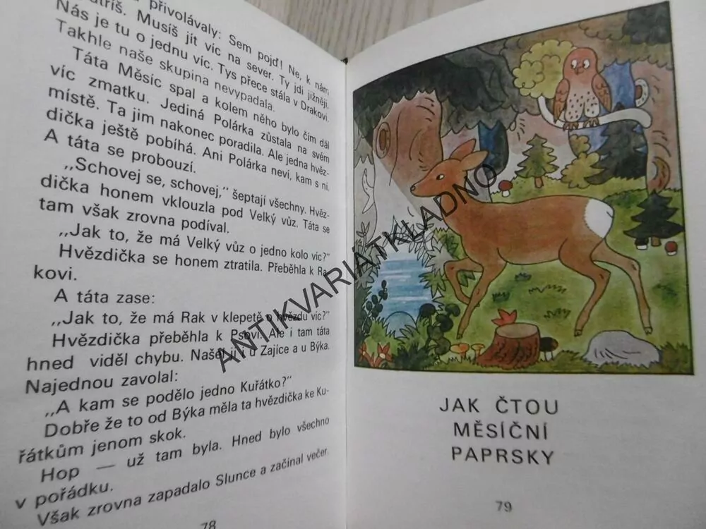 DOBRÉ RÁNO NA ZAHRÁDCE, KAMILA SOJKOVÁ, **an