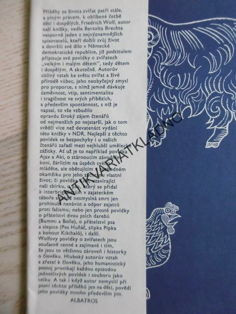 BUMMI, POVÍDKY O ZVÍŘATECH PRO VELKÉ I MALÉ DĚTI, FRIEDRICH WOLF, **an