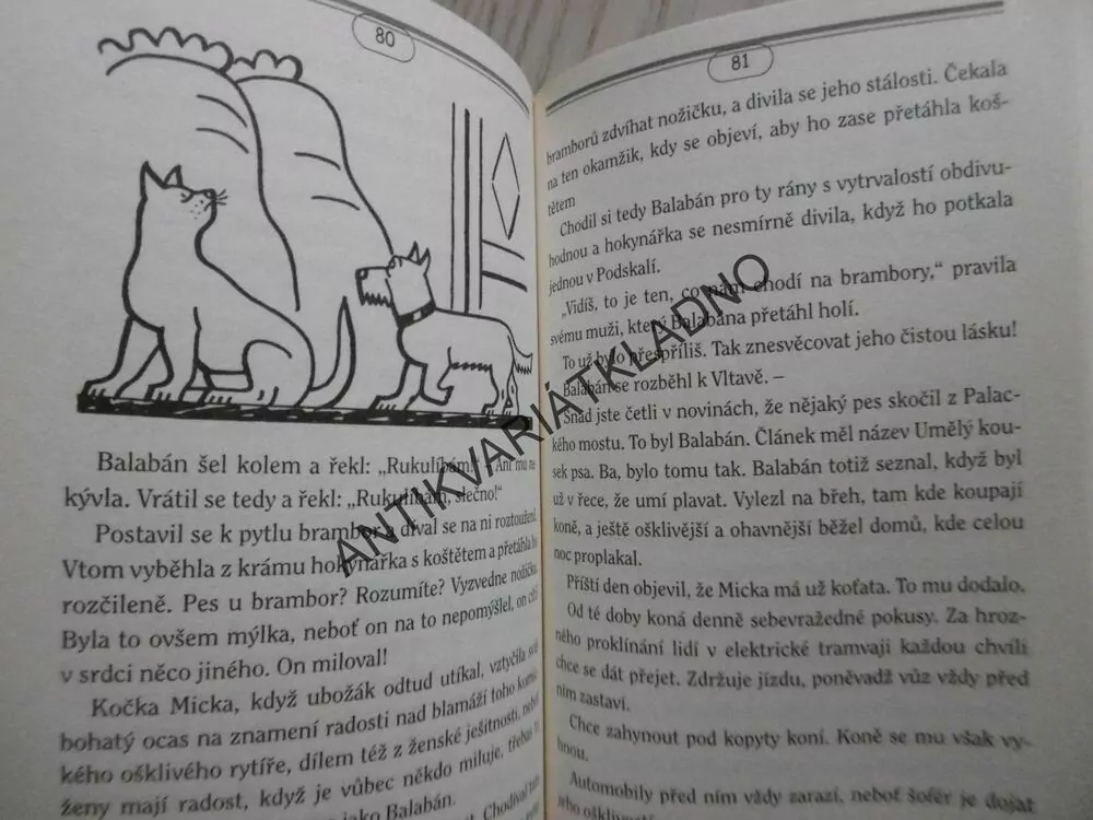 NÁŠ NEJMILEJŠÍ KAMARÁD JE..., RADKO PYTLÍK, KAREL ČAPEK A DALŠÍ, **an