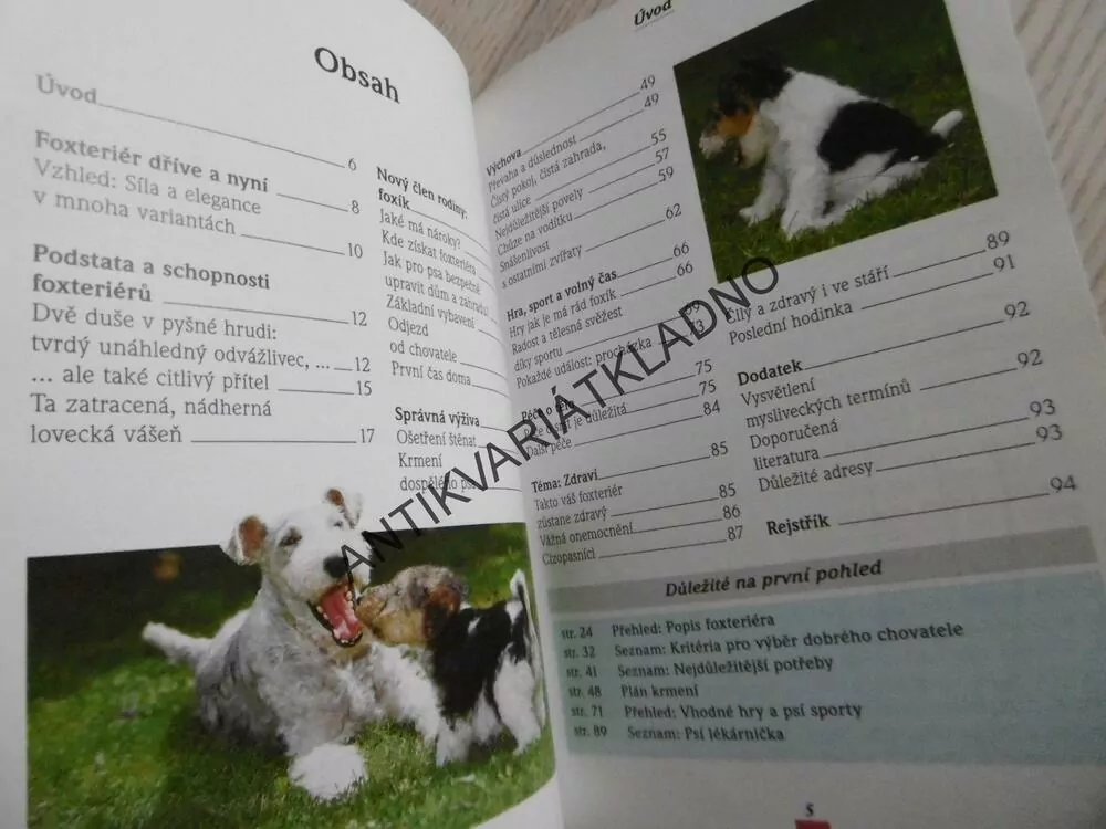 FOXTERIÉR, VÝBĚR, VÝCHOVA, PÉČE, LIESEL BAUMGARTOVÁ, **an