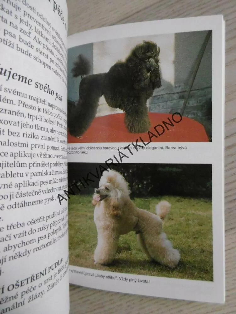 PUDL, JAROSLAVA OVESNÁ, **an