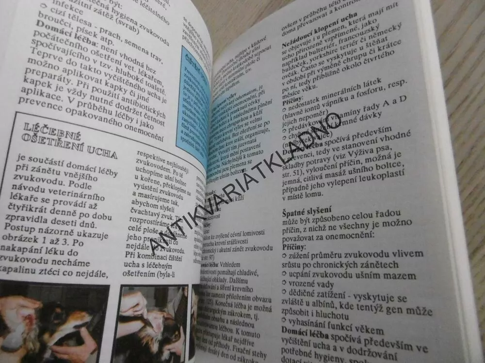 PES A DOMÁCÍ LÉKAŘ, VÁCLAV NAXERA, **an