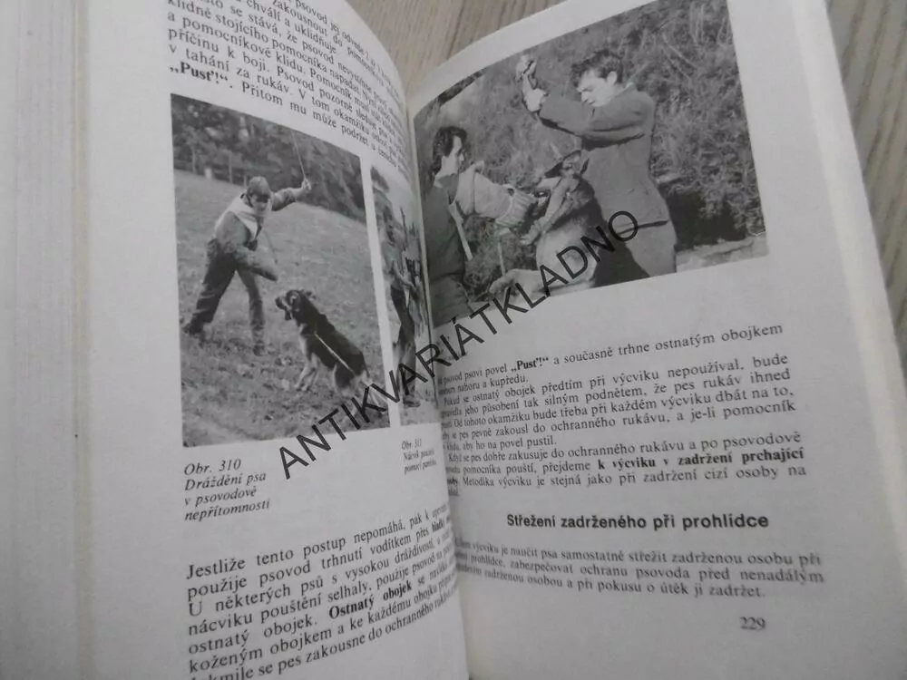 PES A JEHO VÝCVIK, J. HRUŠOVSKÝ A KOLEKTIV, **an
