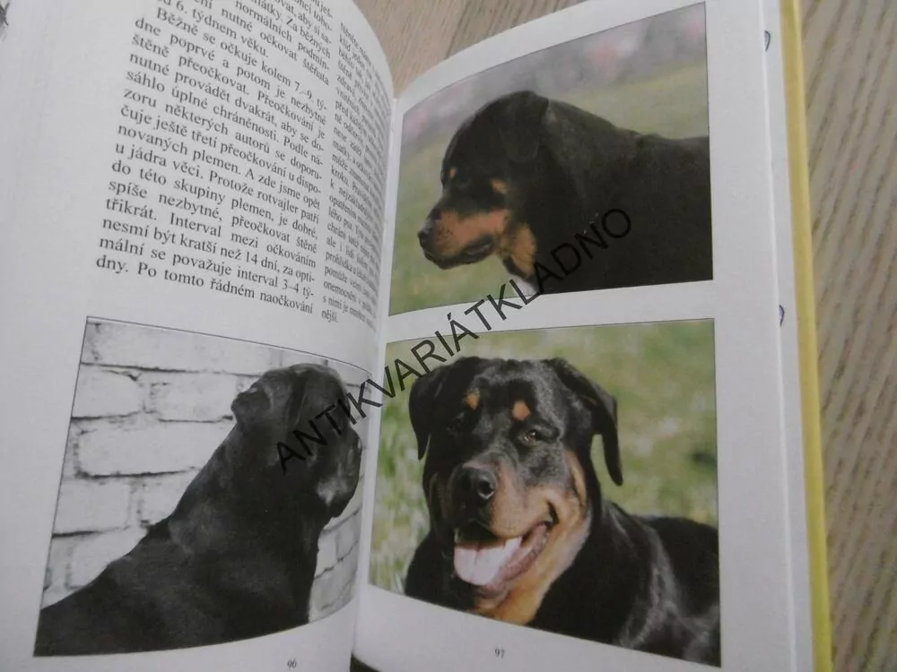 ROTVAJLER, MILOŠ SEDLÁŘ, **an