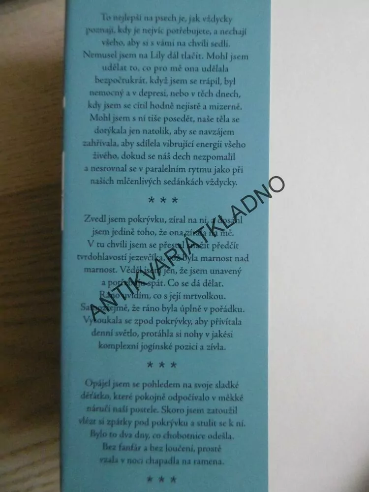 LILY A CHOBOTNICE, STEVEN ROWLEY, **an