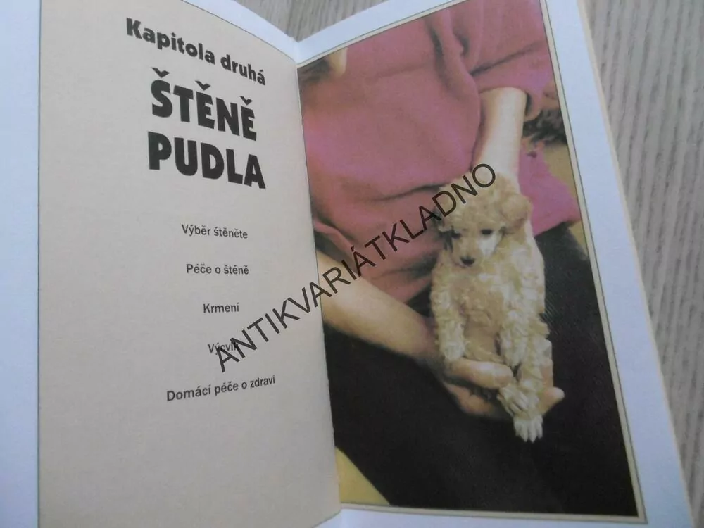 PUDLOVÉ, JACKIE RANSOMOVÁ, **an