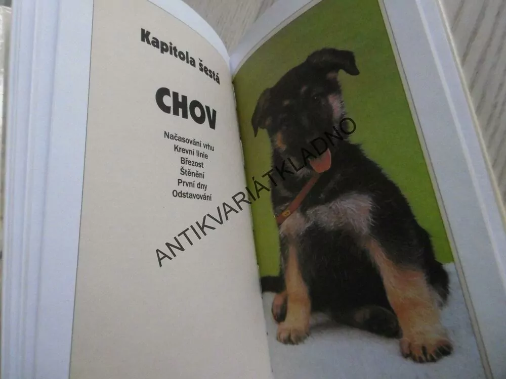 NĚMECKÝ OVČÁK, ROY A CLARISSA ALLANOVI, **an