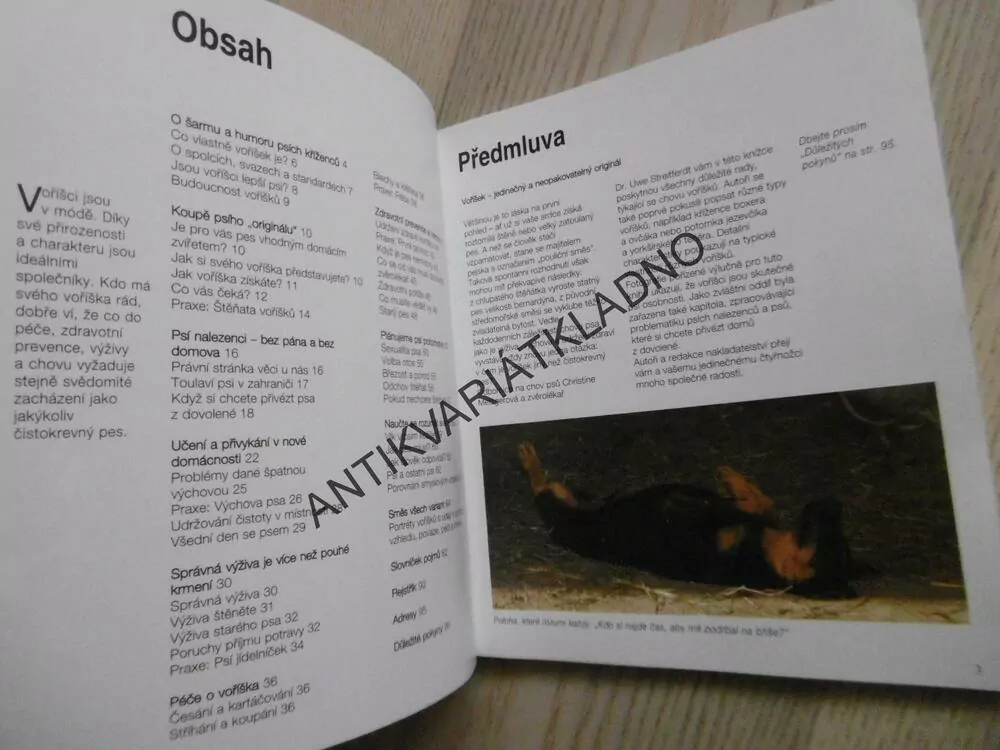 VOŘÍŠCI, INTELIGENTNÍ PSI S CHARAKTEREM, CHRISTINE METZGEROVÁ, UWE STREITFERDT, **an