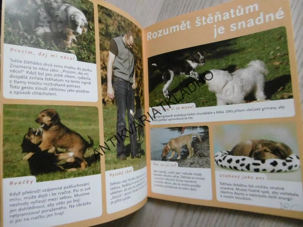 ŠTĚŇATA, CHOV A PÉČE, POROZUMĚNÍ A ZABAVENÍ, BRIGITTE HARRIESOVÁ, **an