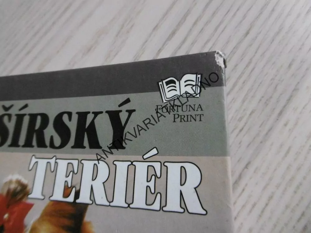 JORKŠÍRSKÝ TERIÉR, RACHEL KEYESOVÁ, **an