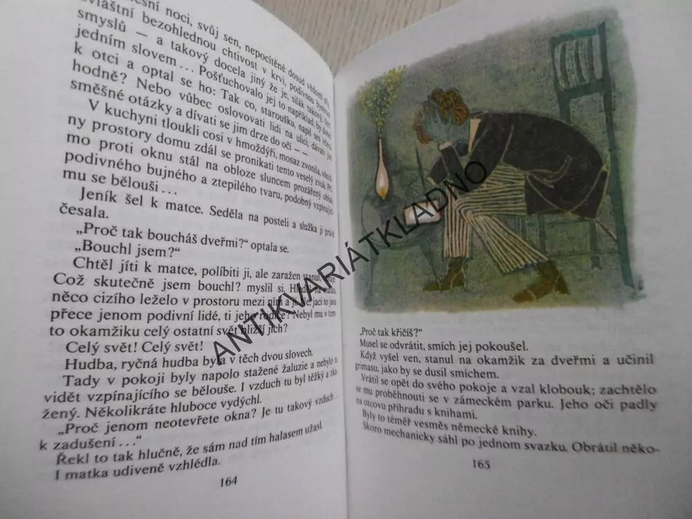 STŘÍBRNÝ VÍTR, FRÁŇA ŠRÁMEK, **an