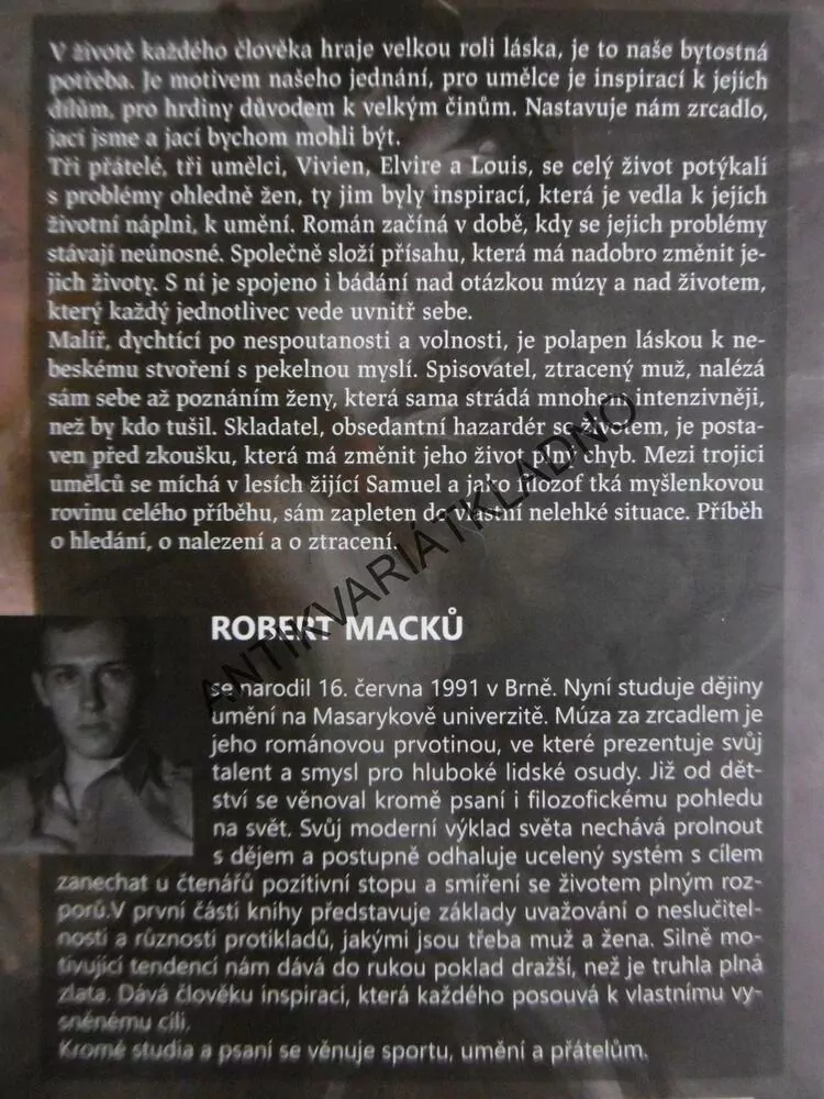 MÚZA ZA ZRCADLEM, ROBERT MACKŮ, **an