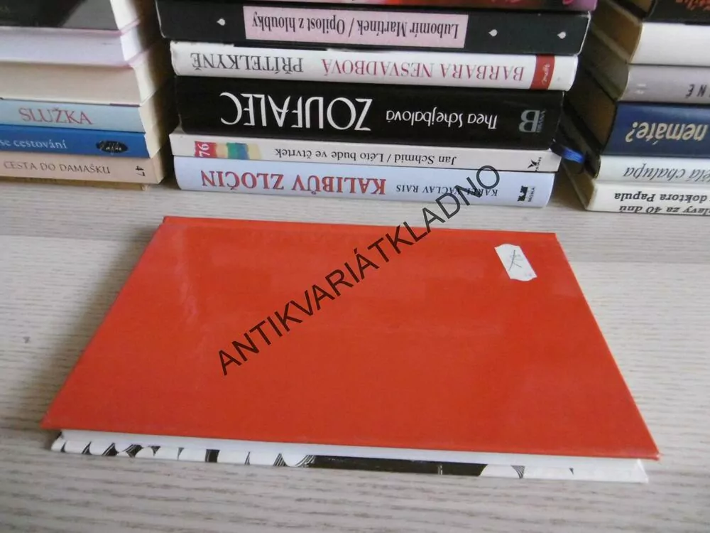 HOLKY Z PORCELÁNU, JAROMÍRA KOLÁROVÁ, **an