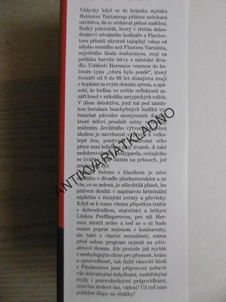 NENÍ ČAS ZTRÁCET ČAS, MICHAEL HOEYE, **an